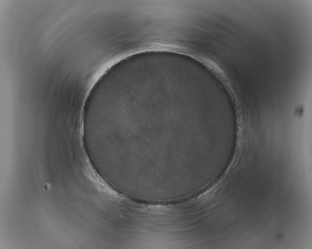 X0000112001280200908171410