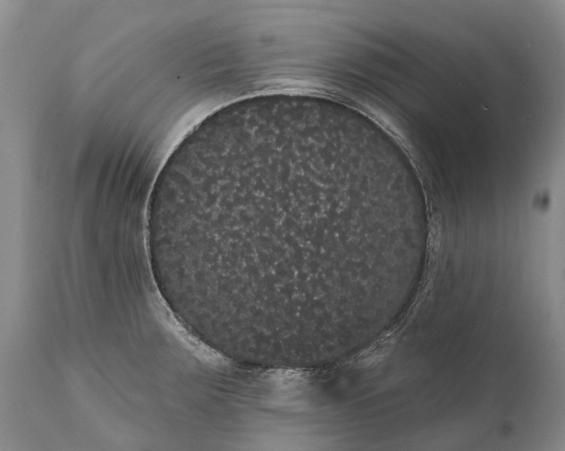 X0000112001283200908171410