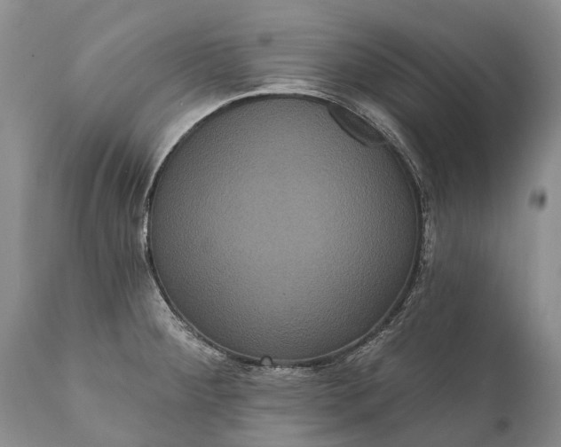 X0000112001284200908171410