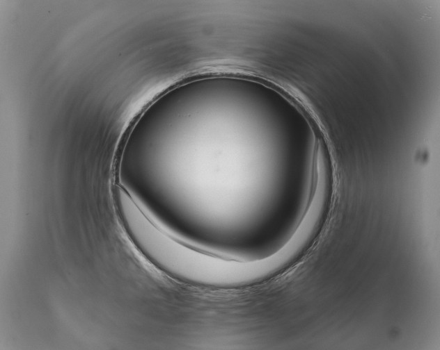 X0000112001285200908171410