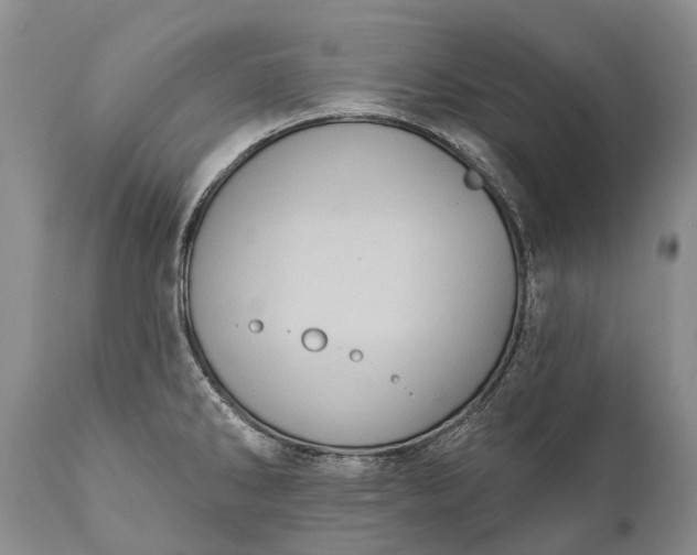 X0000112001286200908171410