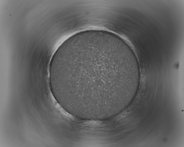 X0000112001287200908171410