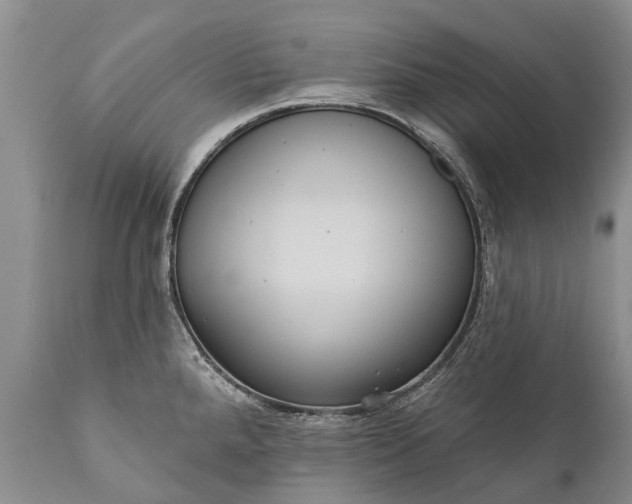 X0000112001288200908171410