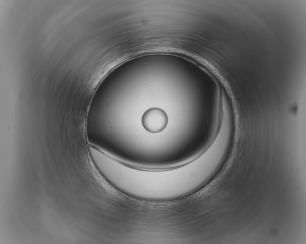 X0000112001289200908171410