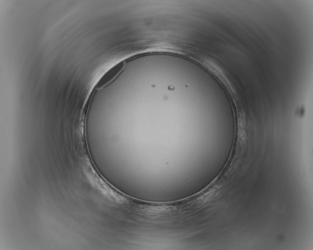 X0000112001292200908171410