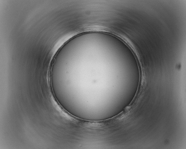 X0000112001293200908171410