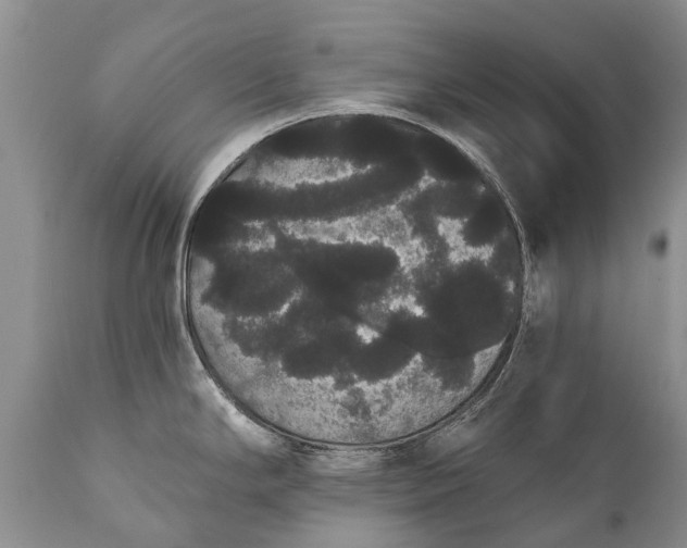 X0000112001294200908171410