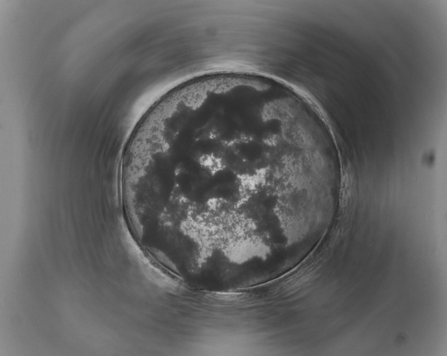 X0000112001295200908171410