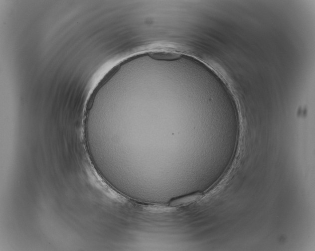 X0000112001296200908171410