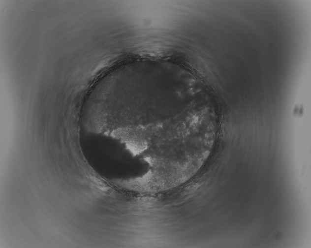 X0000112001297200908171409