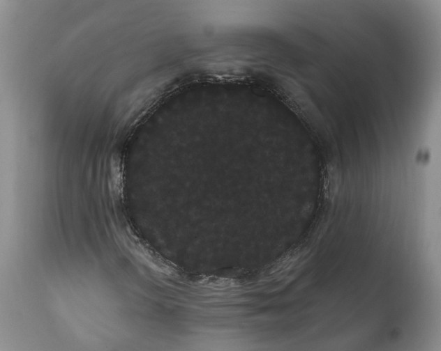 X0000112001298200908171409