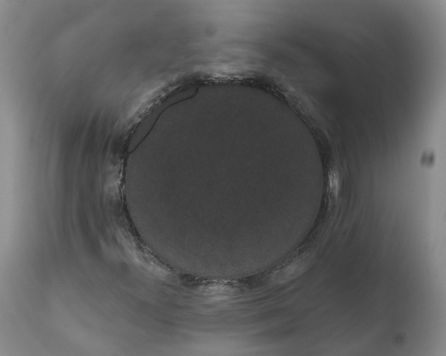 X0000112001300200908171409