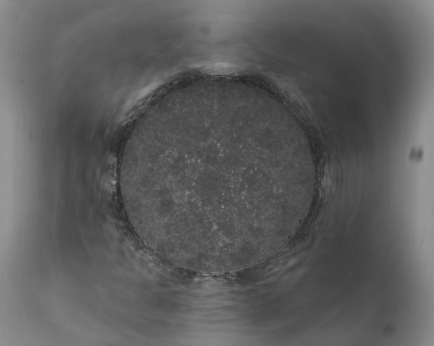 X0000112001301200908171409