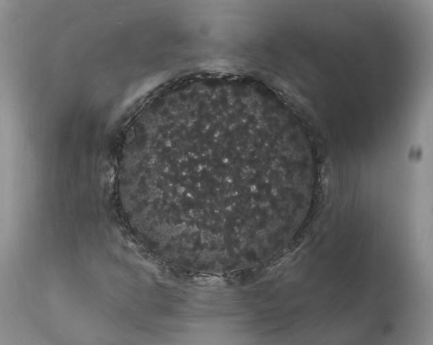 X0000112001302200908171409