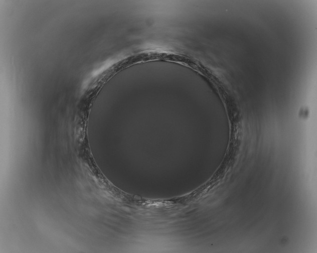 X0000112001303200908171409