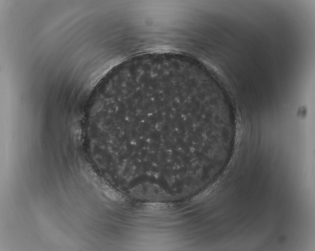 X0000112001305200908171409