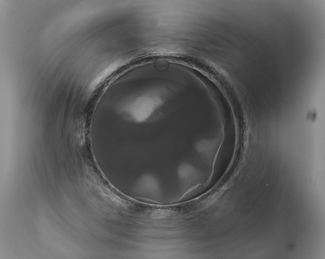 X0000112001306200908171409