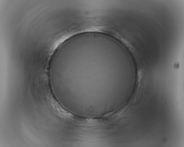 X0000112001308200908171409