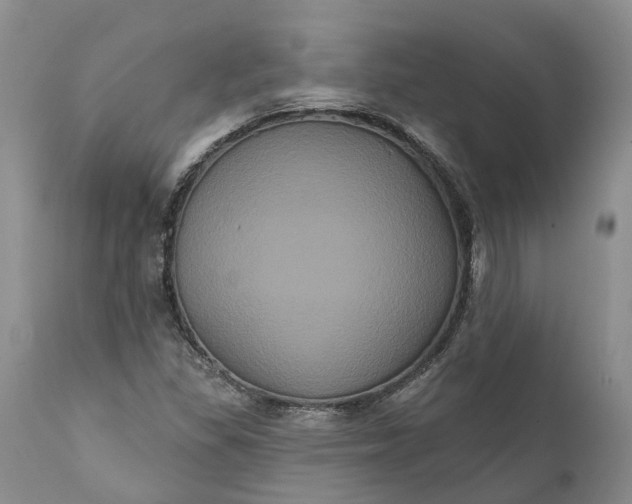 X0000112001309200908171409