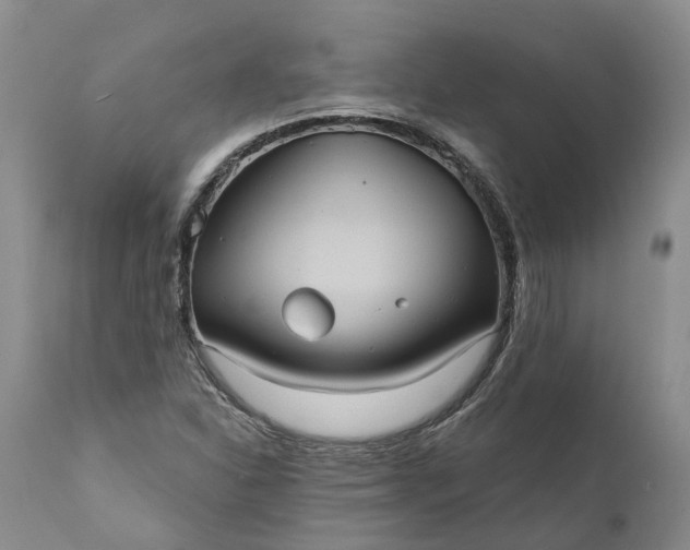 X0000112001310200908171409