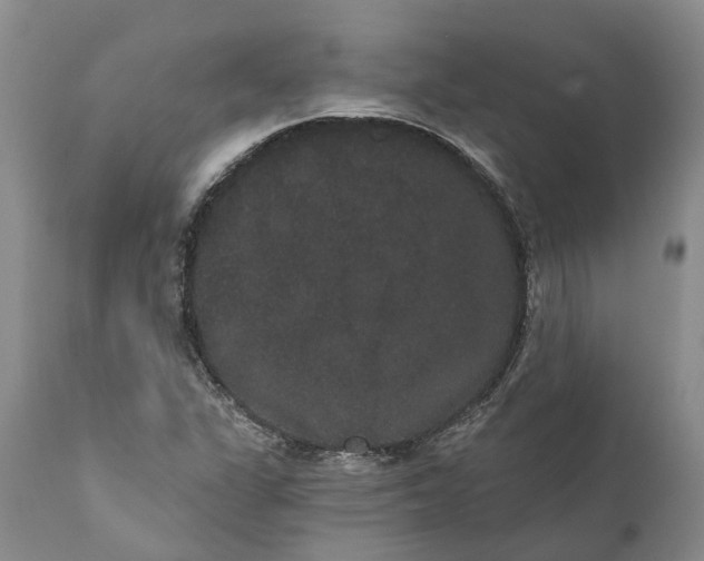 X0000112001311200908171409