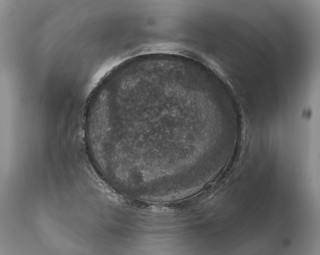 X0000112001312200908171409