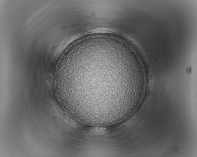 X0000112001313200908171409