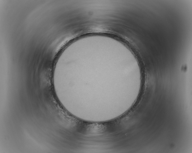 X0000112001314200908171409