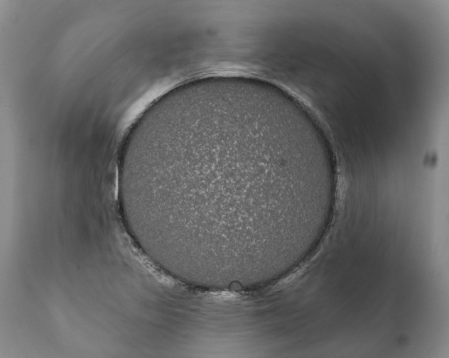 X0000112001317200908171410