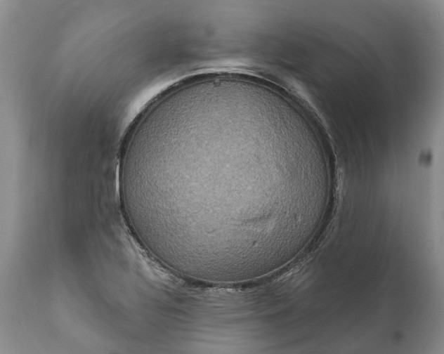 X0000112001320200908171410