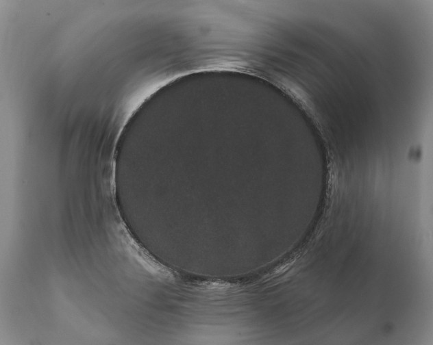 X0000112001324200908171410