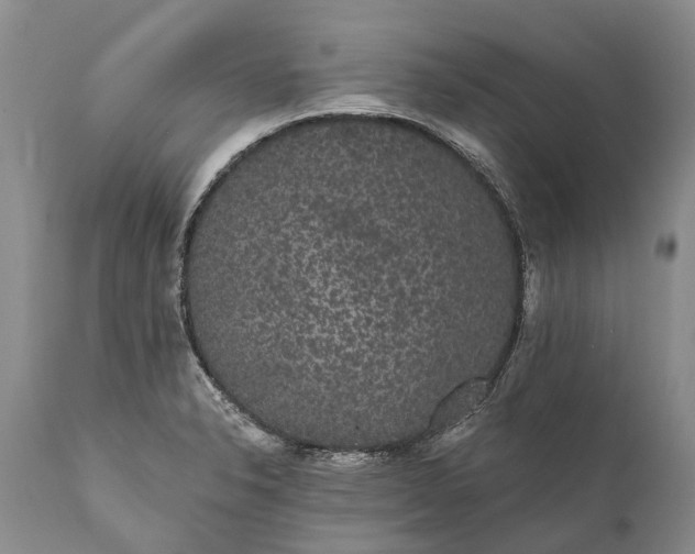 X0000112001326200908171410