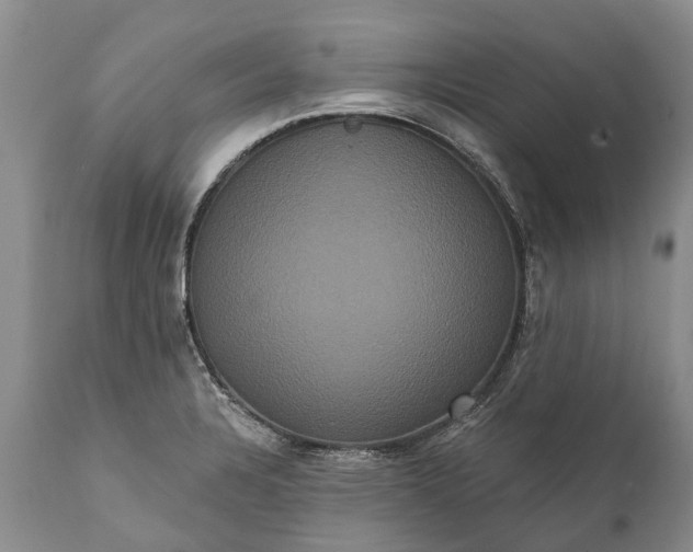 X0000112001328200908171410