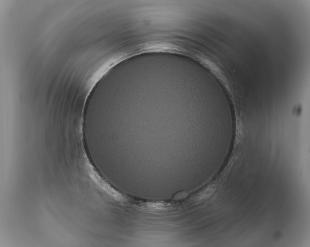 X0000112001330200908171410