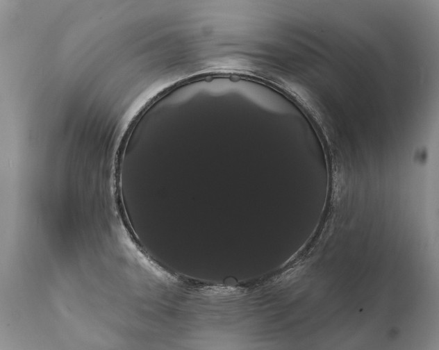 X0000112001331200908171410