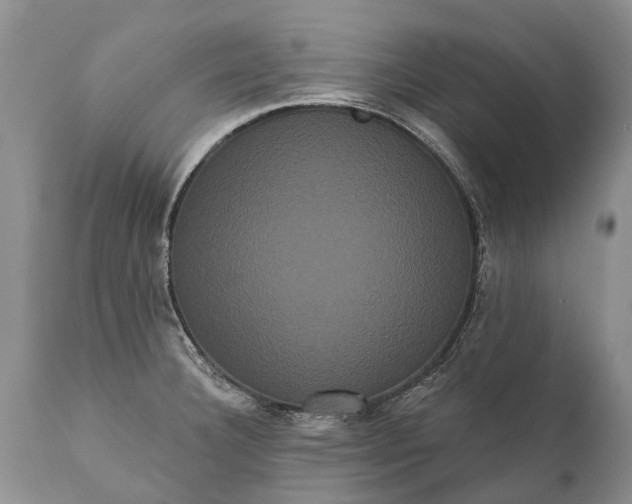 X0000112001332200908171410