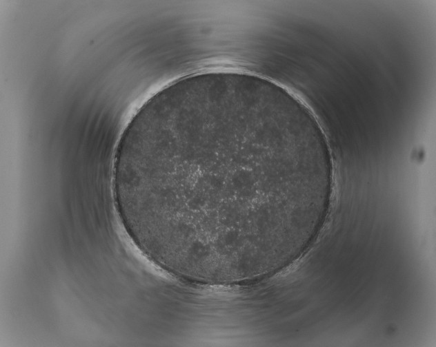 X0000112001333200908171410