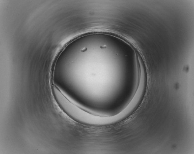 X0000112001334200908171410