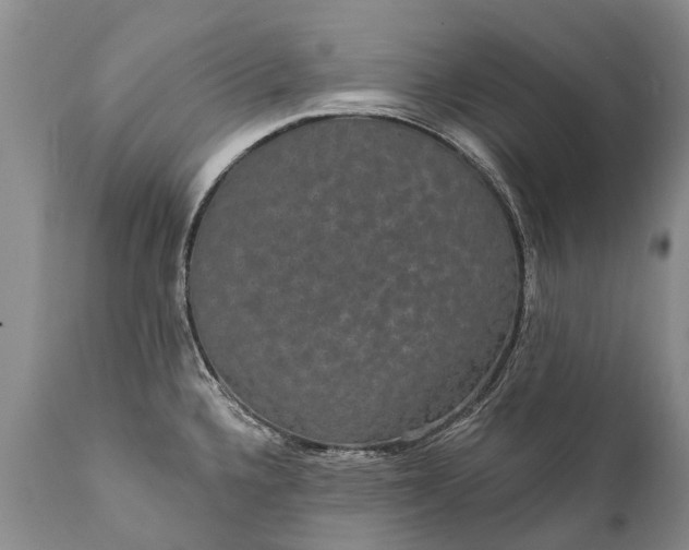 X0000112001336200908171410