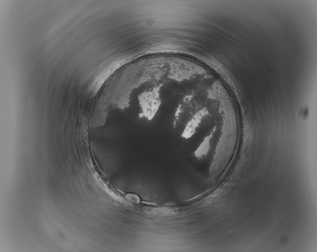 X0000112001337200908171410