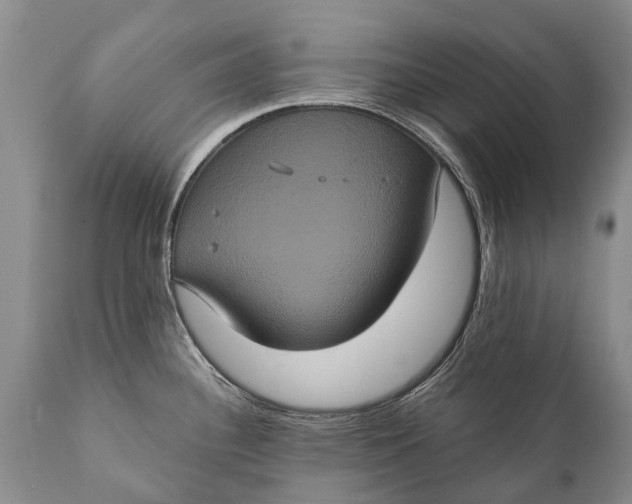 X0000112001340200908171410