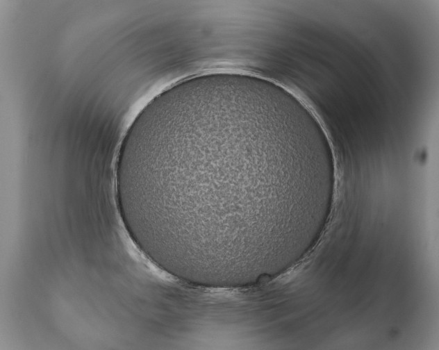 X0000112001341200908171410