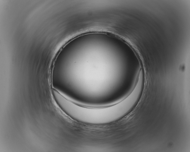 X0000112001342200908171410