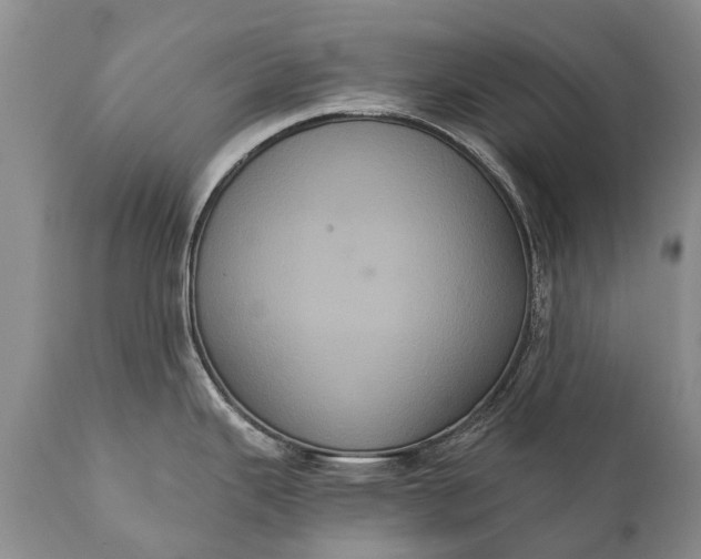 X0000112001343200908171410