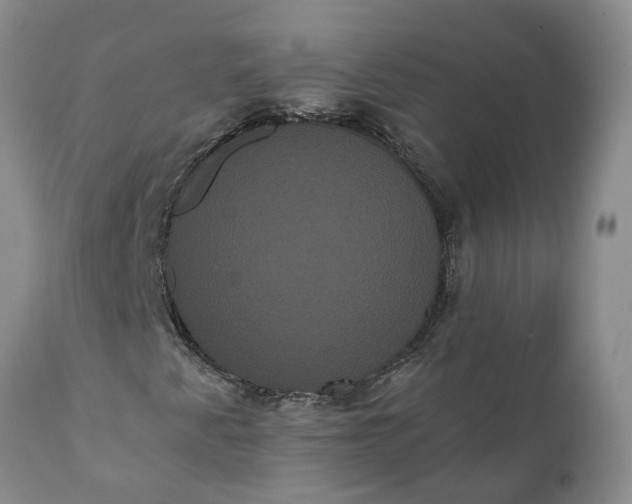 X0000112001345200908171409