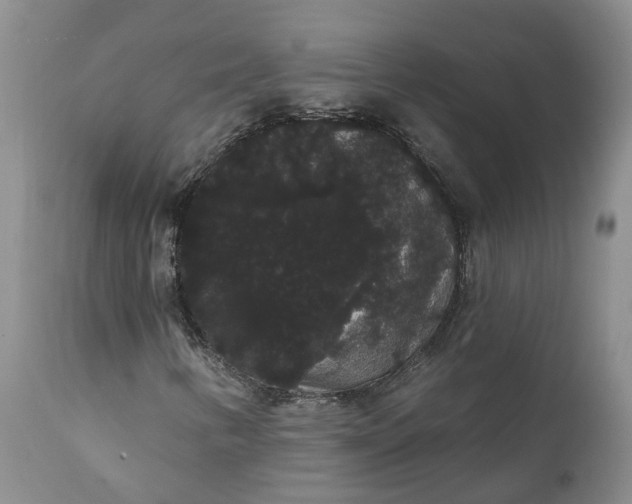 X0000112001346200908171409