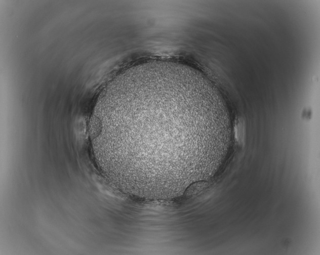 X0000112001347200908171409