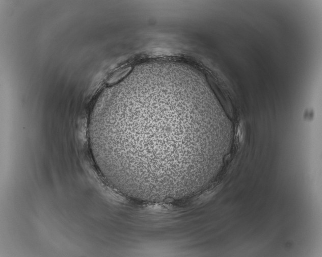 X0000112001348200908171409