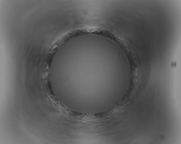 X0000112001349200908171409