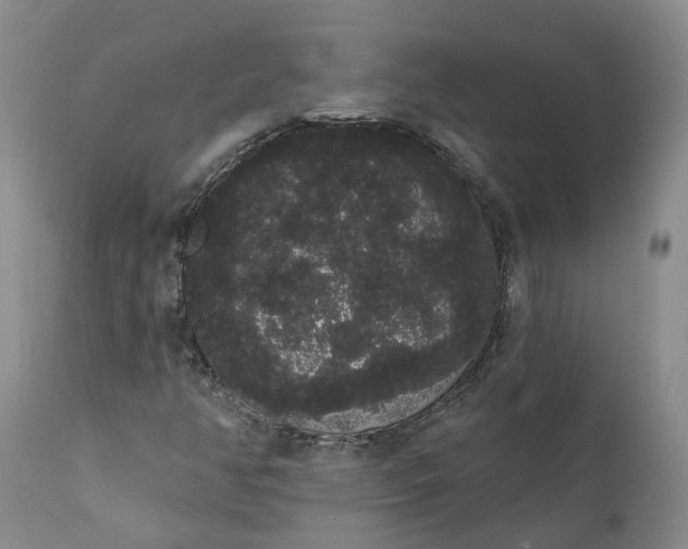 X0000112001350200908171409